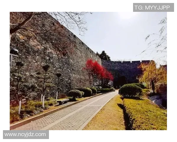 全球足球明星精彩瞬间全景图集尽在此处一览无余